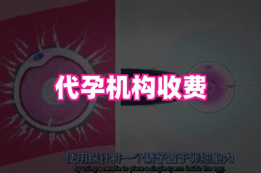 长沙助孕网站 1
