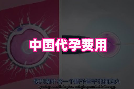 长沙助孕网站 2
